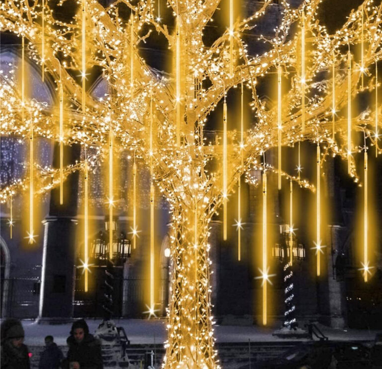 Live oak wrapped from trunk to outer limbs in warm white Christmas lights