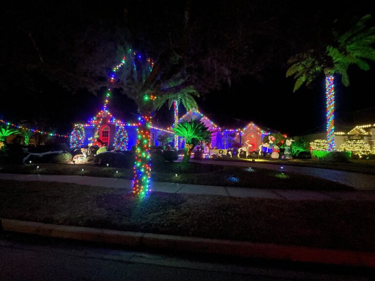 Palm trunks wrapped in multicolor Christmas lights along a residential street at night