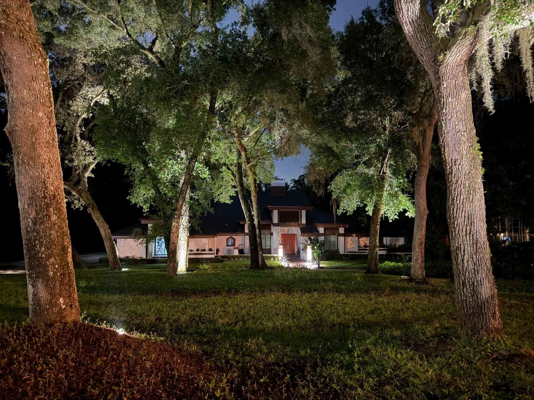 Live oak trees and a Central Florida home illuminated with layered landscape lighting